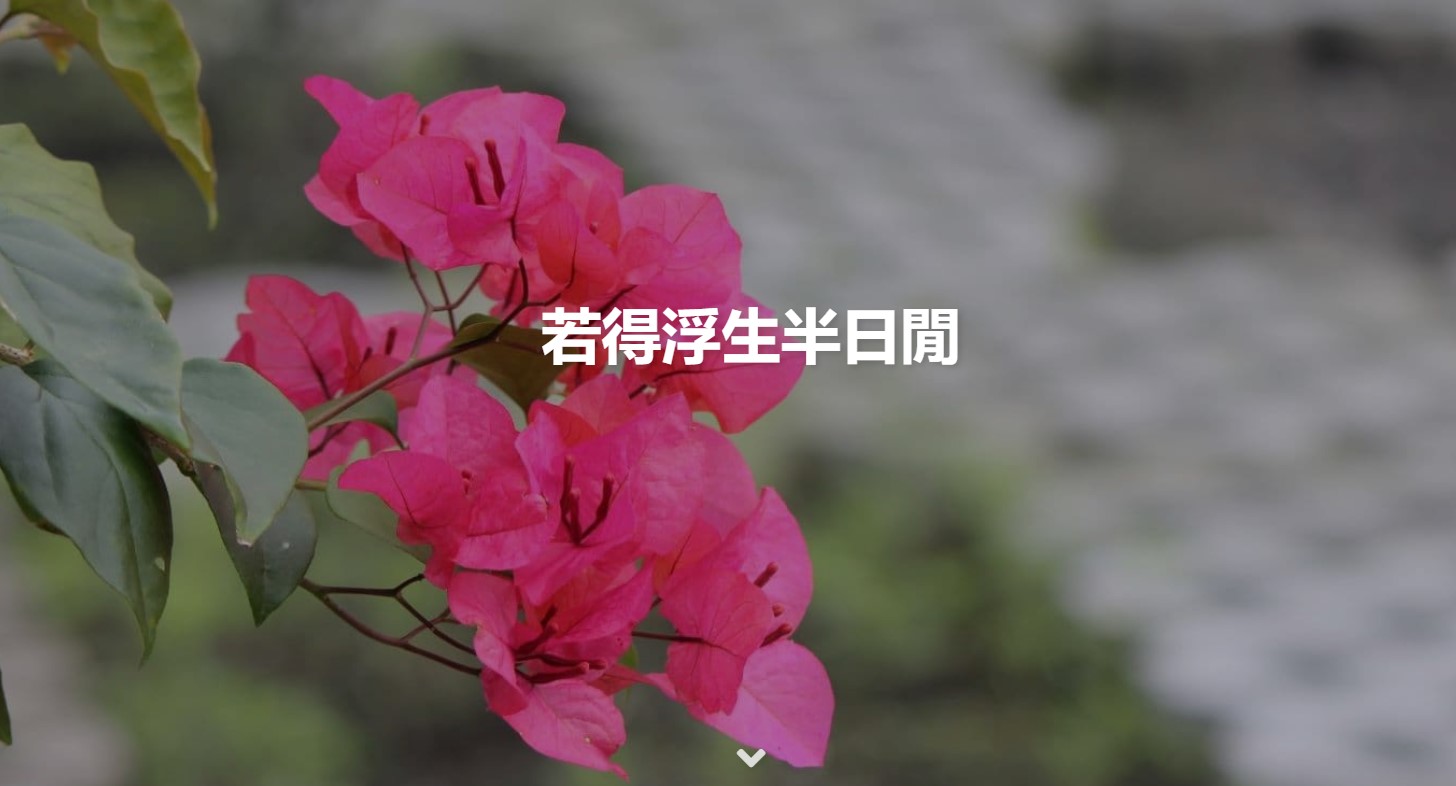 網站的建置流程與沿革